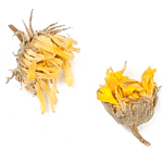 piece