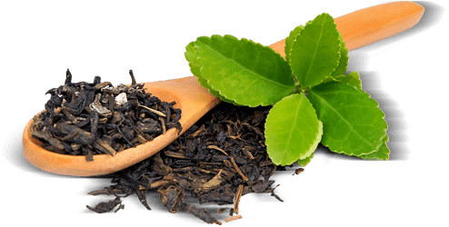 dust tea